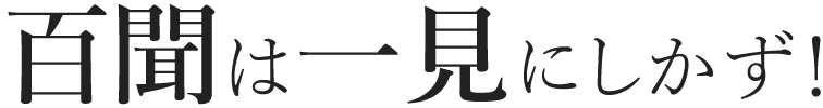 百聞は一見にしかず！